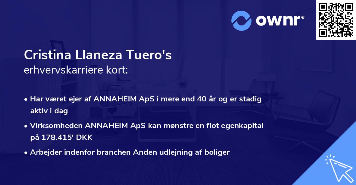 Cristina Llaneza Tuero's erhvervskarriere kort