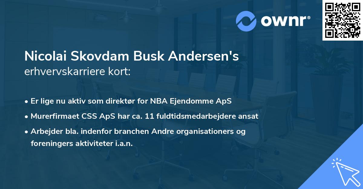 Nicolai Skovdam Busk Andersen's erhvervskarriere kort