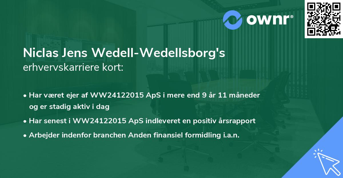 Niclas Jens Wedell-Wedellsborg's erhvervskarriere kort