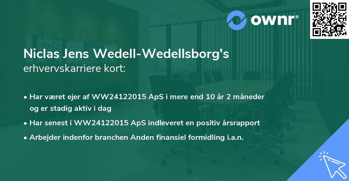Niclas Jens Wedell-Wedellsborg's erhvervskarriere kort