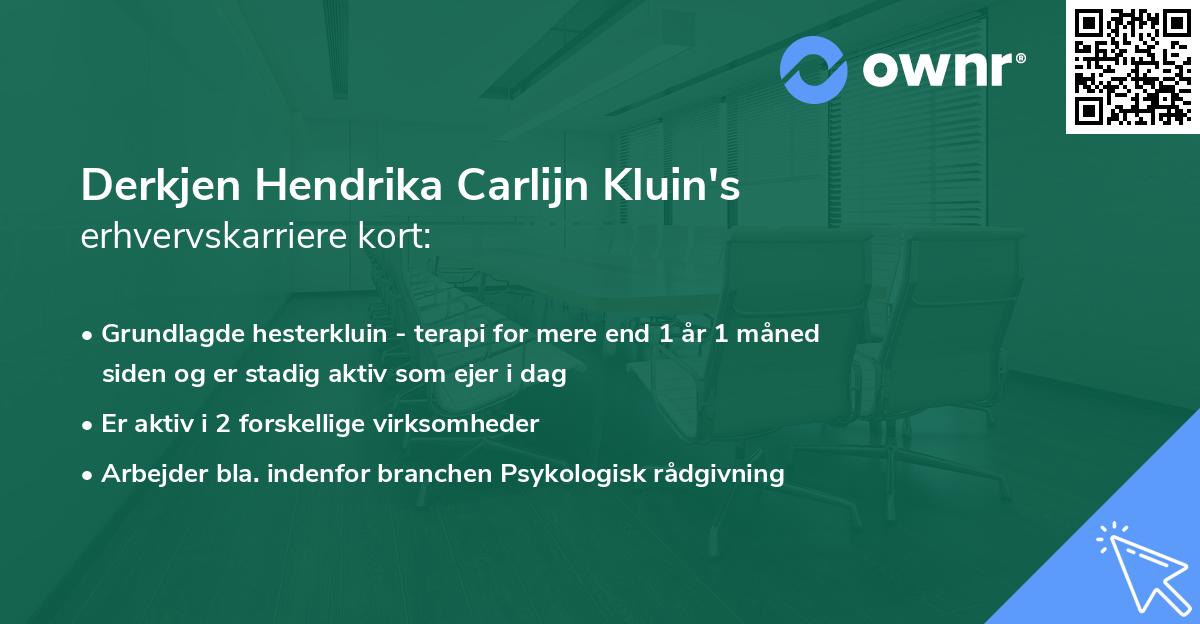 Derkjen Hendrika Carlijn Kluin's erhvervskarriere kort