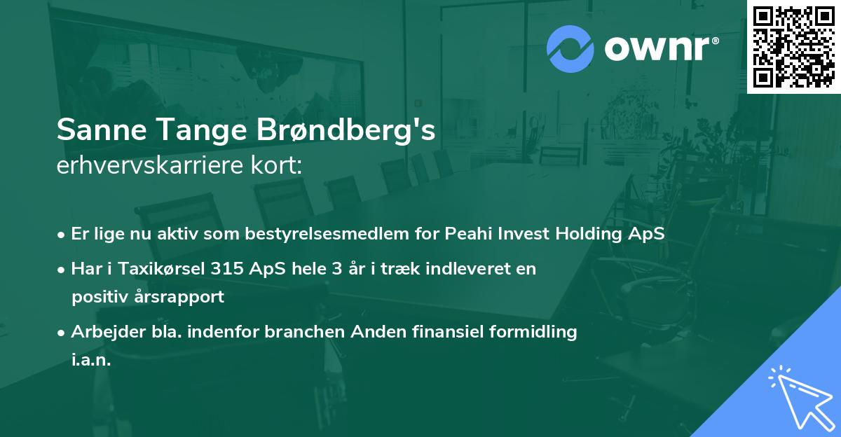 Sanne Tange Brøndberg's erhvervskarriere kort