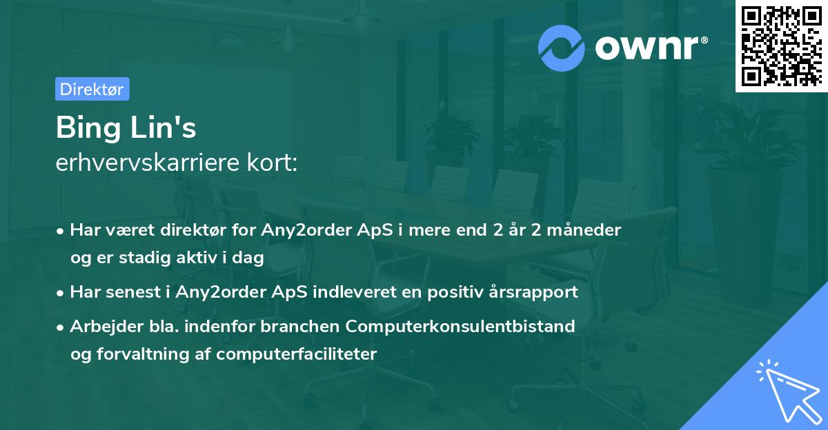 Bing Lin's erhvervskarriere kort