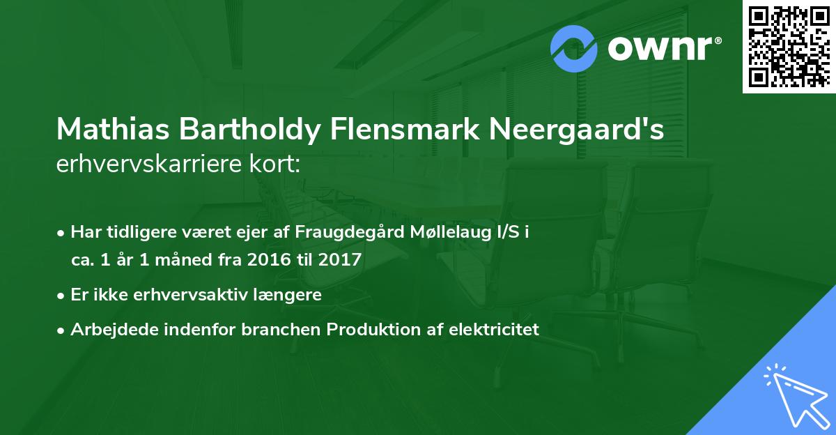 Mathias Bartholdy Flensmark Neergaard's erhvervskarriere kort