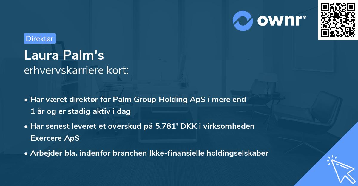 Laura Palm's erhvervskarriere kort