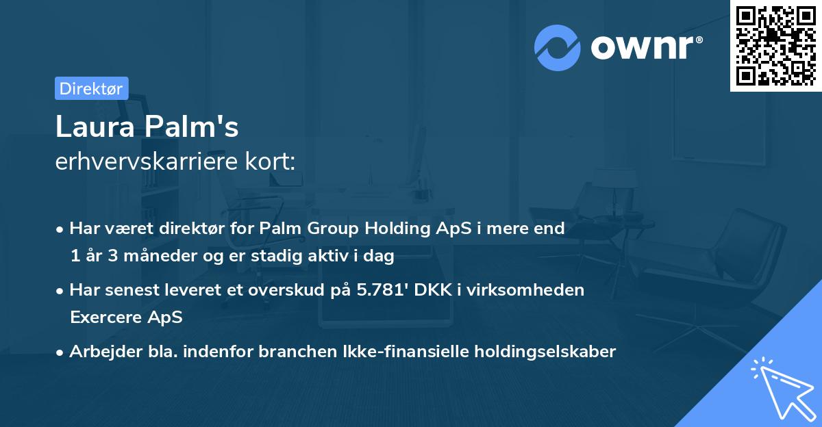 Laura Palm's erhvervskarriere kort