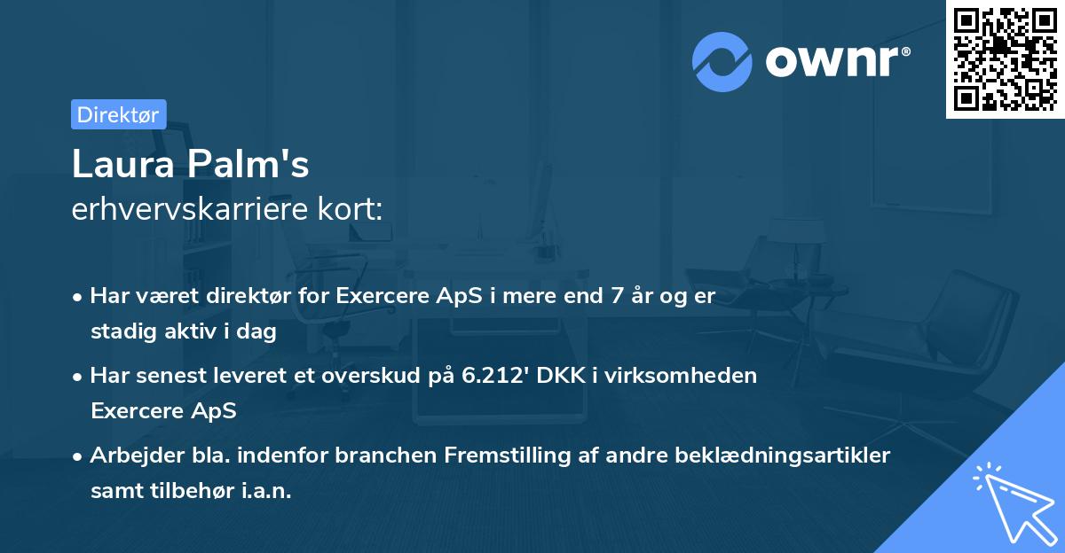 Laura Palm's erhvervskarriere kort