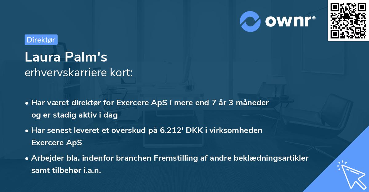 Laura Palm's erhvervskarriere kort