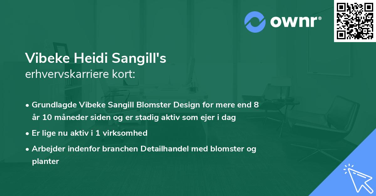 Vibeke Heidi Sangill's erhvervskarriere kort