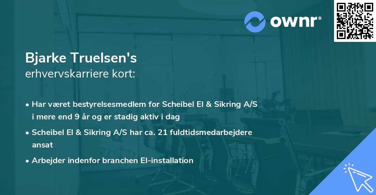 Bjarke Truelsen's erhvervskarriere kort