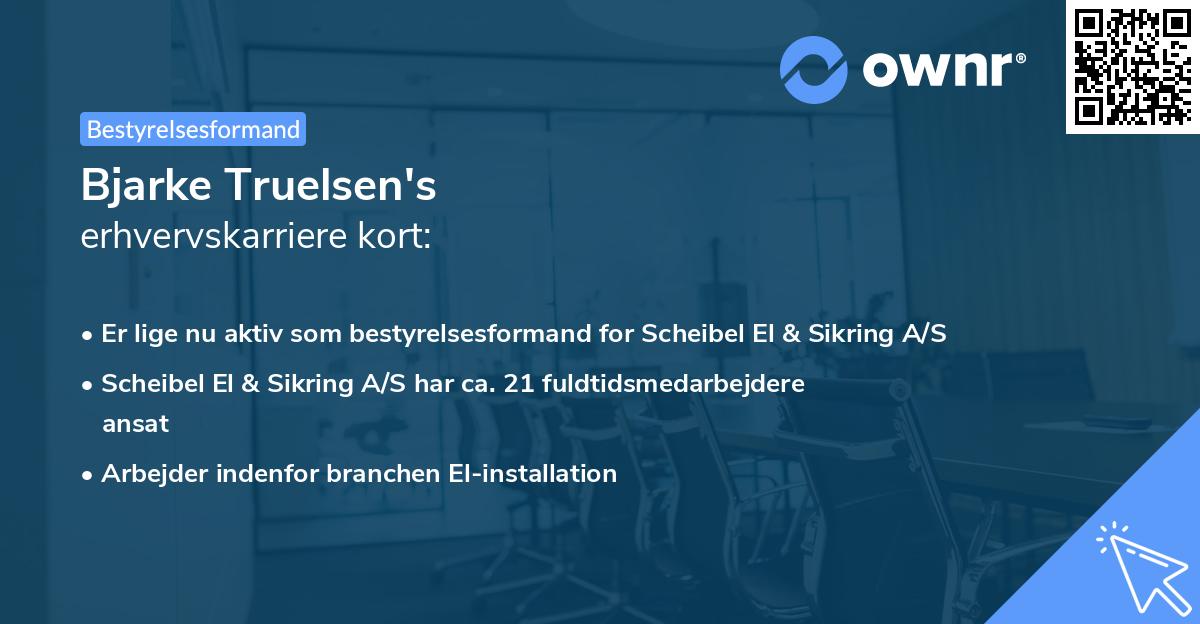 Bjarke Truelsen's erhvervskarriere kort