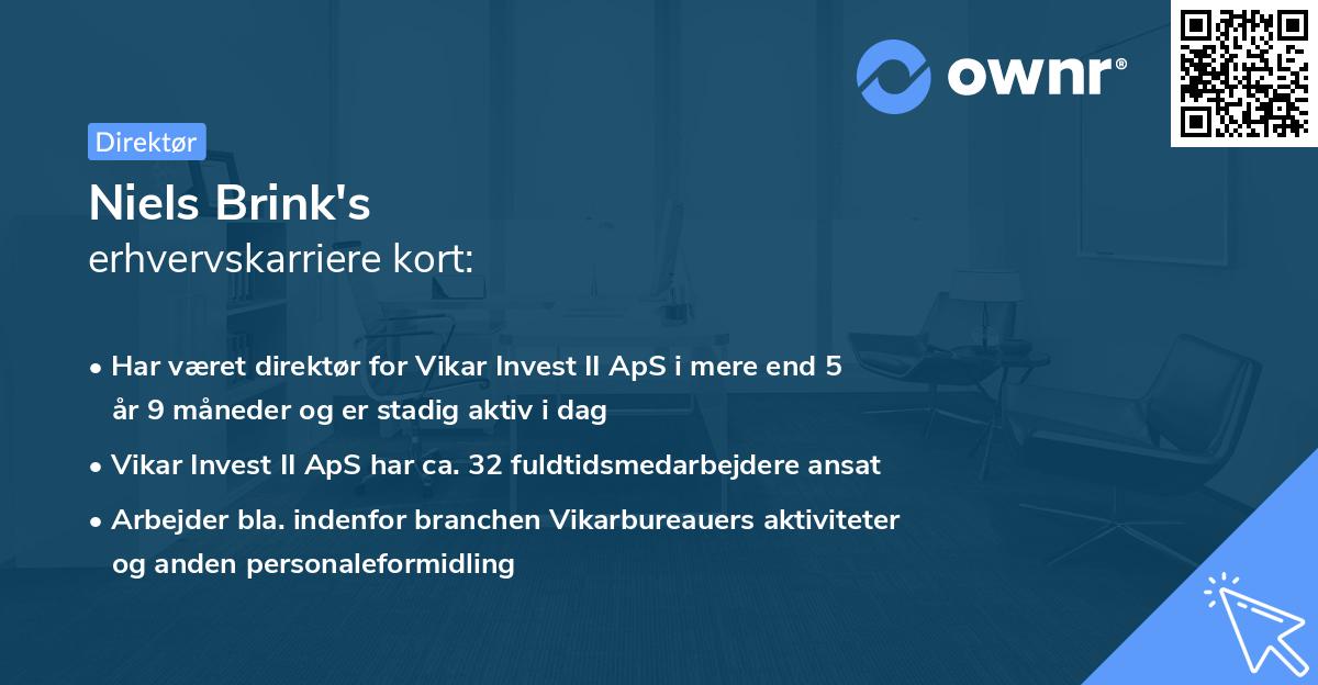 Niels Brink's erhvervskarriere kort