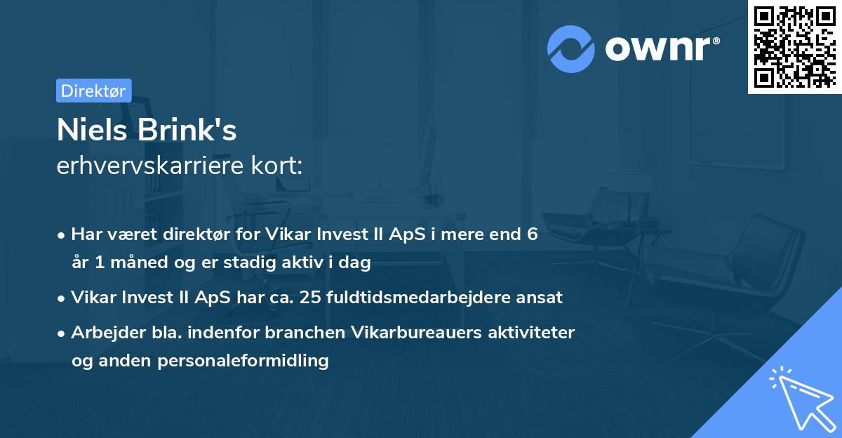 Niels Brink's erhvervskarriere kort