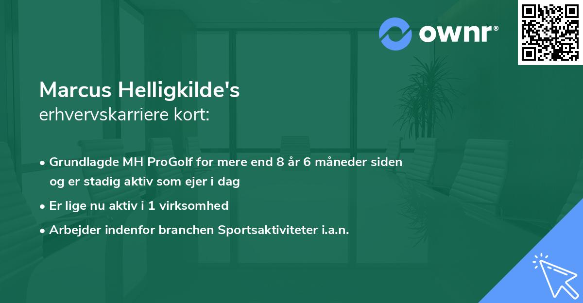 Marcus Helligkilde's erhvervskarriere kort
