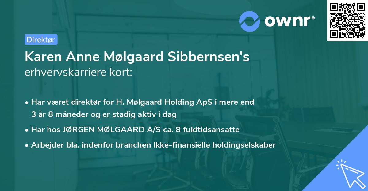 Karen Anne Mølgaard Sibbernsen's erhvervskarriere kort