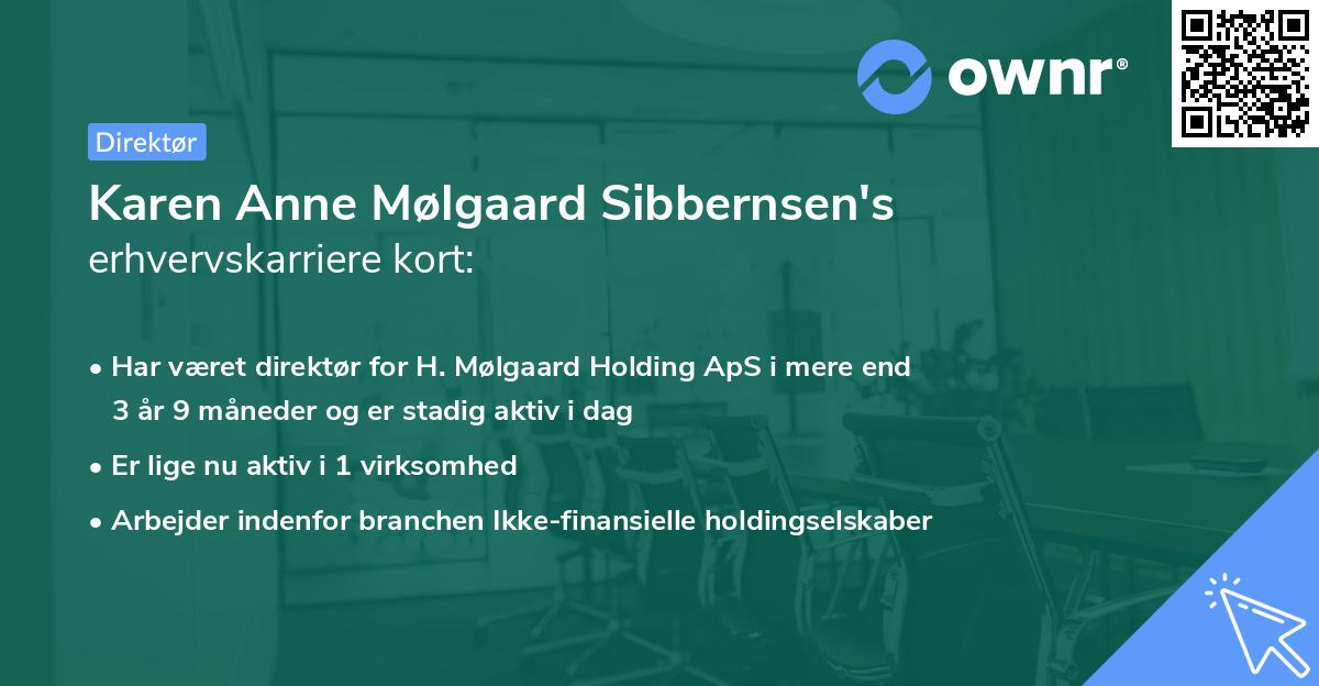 Karen Anne Mølgaard Sibbernsen's erhvervskarriere kort