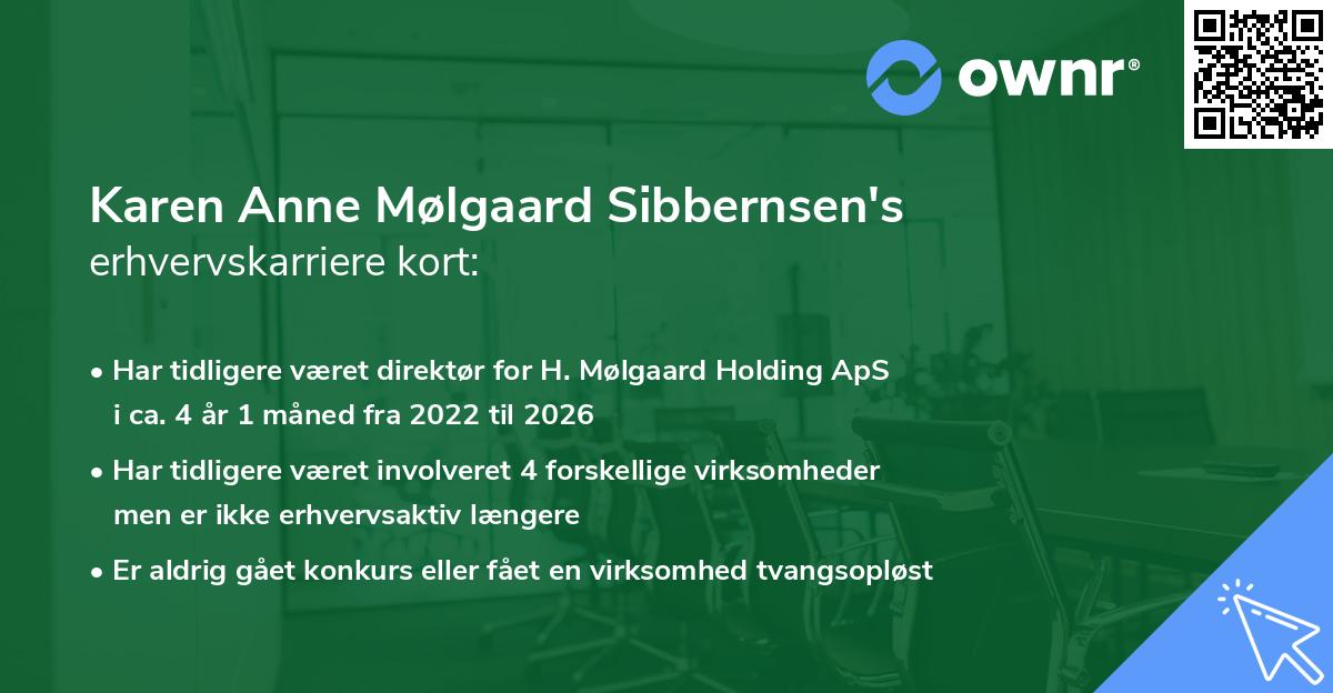 Karen Anne Mølgaard Sibbernsen's erhvervskarriere kort
