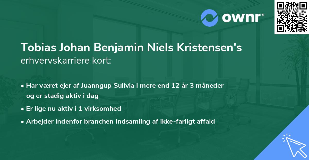 Tobias Johan Benjamin Niels Kristensen's erhvervskarriere kort