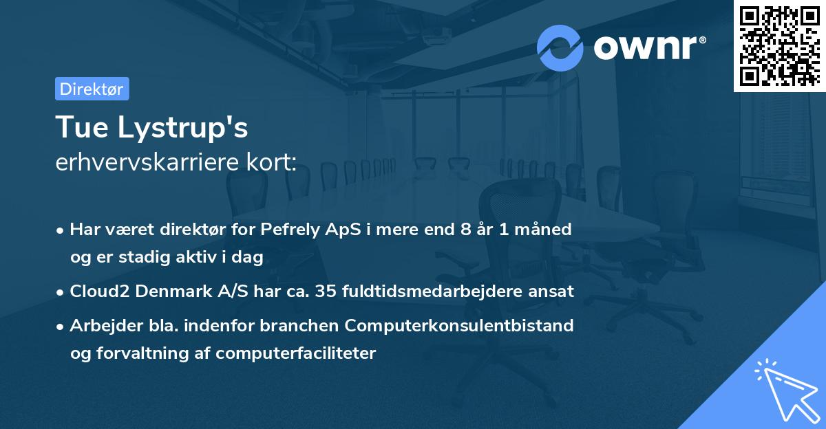 Tue Lystrup's erhvervskarriere kort