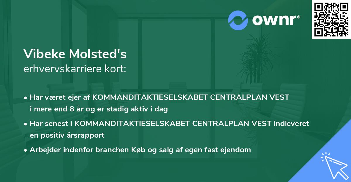 Vibeke Molsted's erhvervskarriere kort