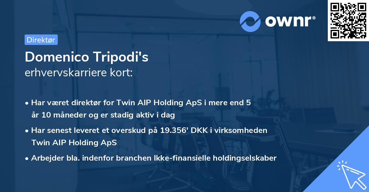 Domenico Tripodi's erhvervskarriere kort