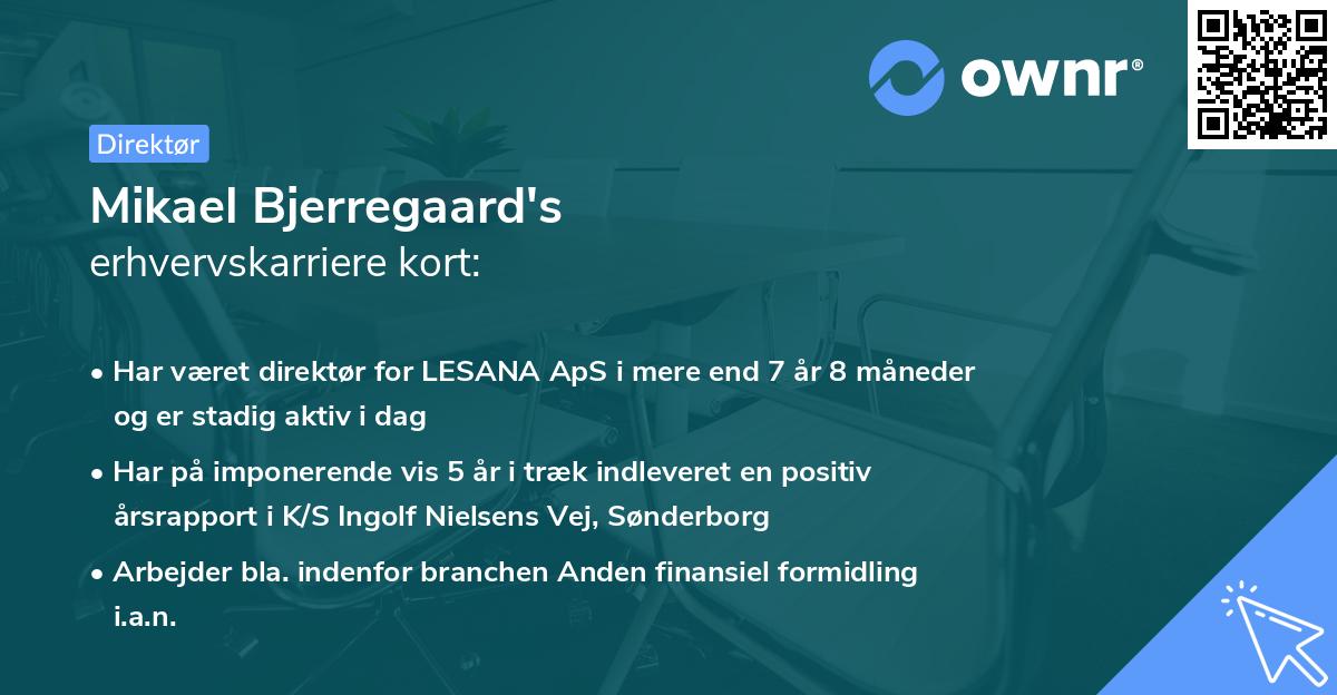 Mikael Bjerregaard's erhvervskarriere kort