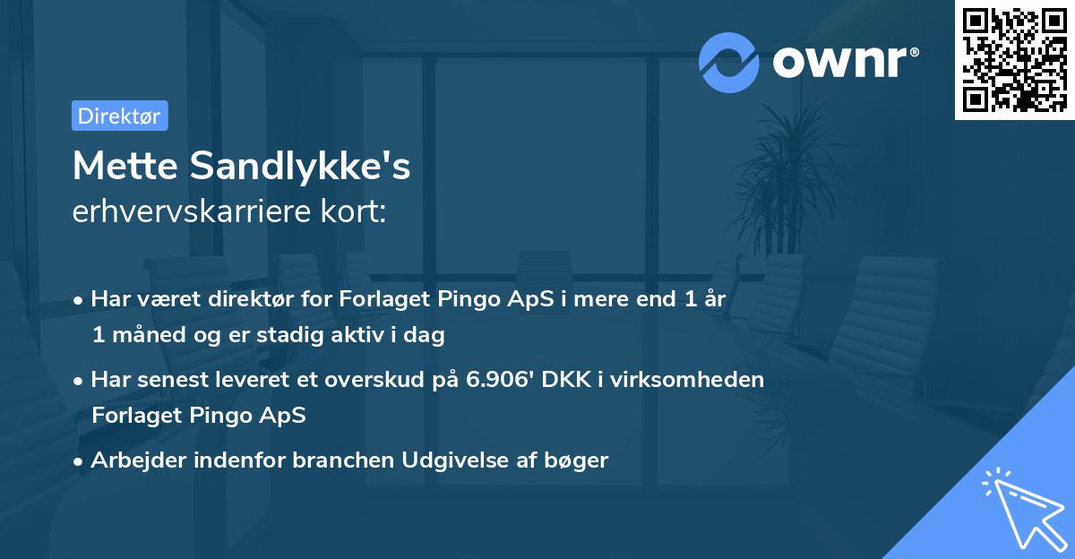 Mette Sandlykke's erhvervskarriere kort