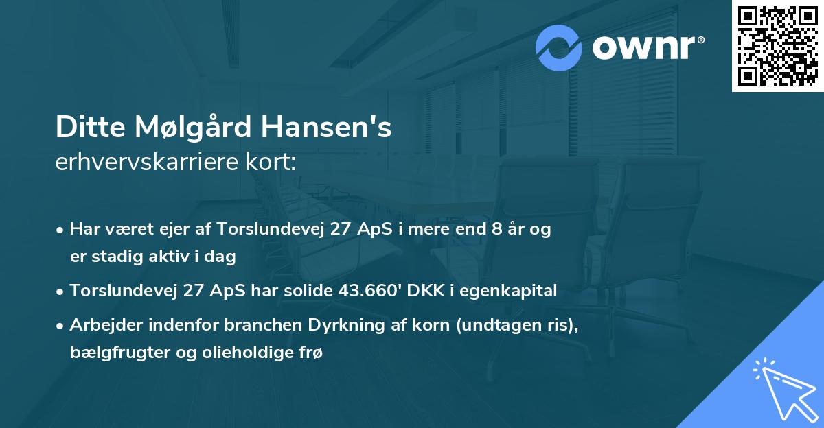 Ditte Mølgård Hansen's erhvervskarriere kort