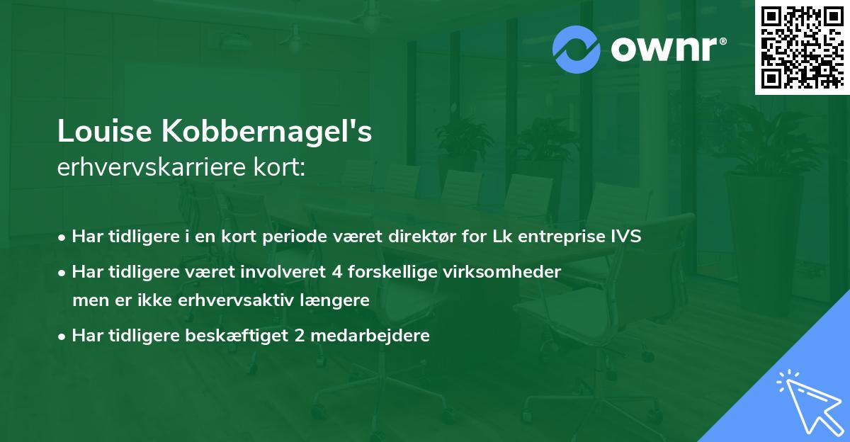 Louise Kobbernagel's erhvervskarriere kort