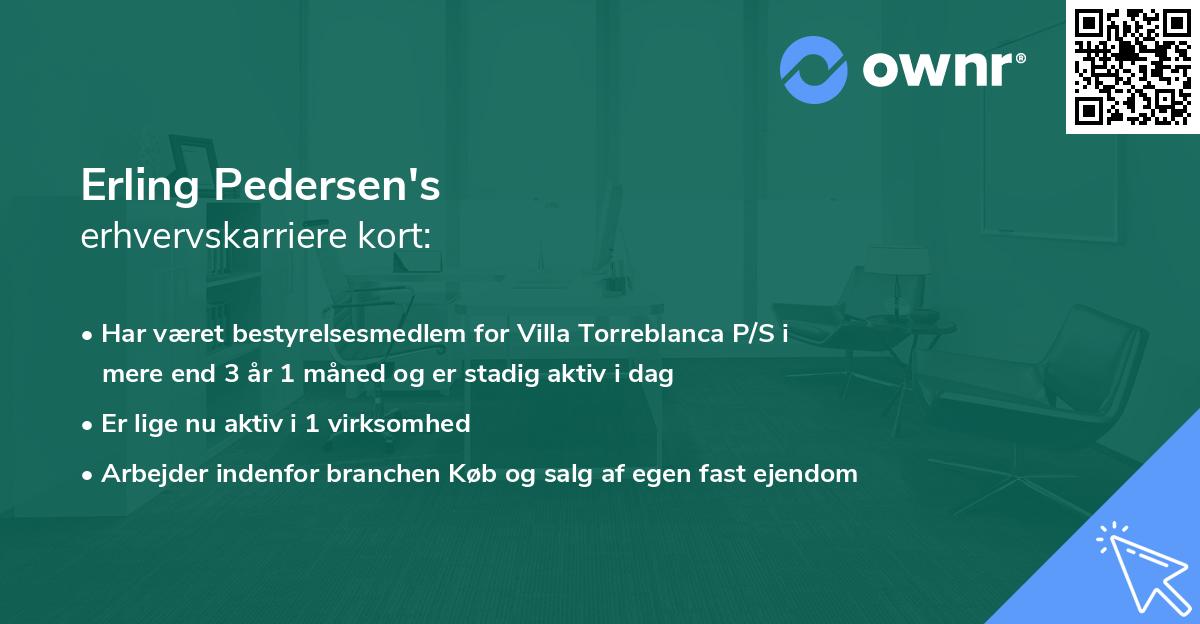 Erling Pedersen's erhvervskarriere kort