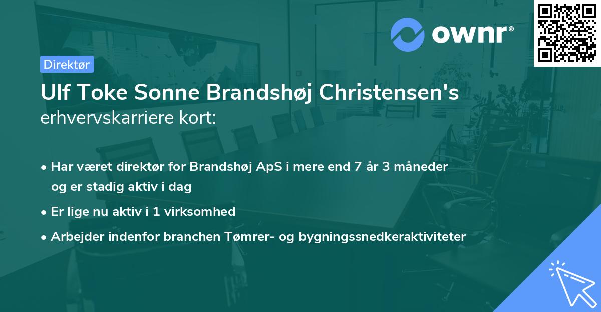 Ulf Toke Sonne Brandshøj Christensen's erhvervskarriere kort