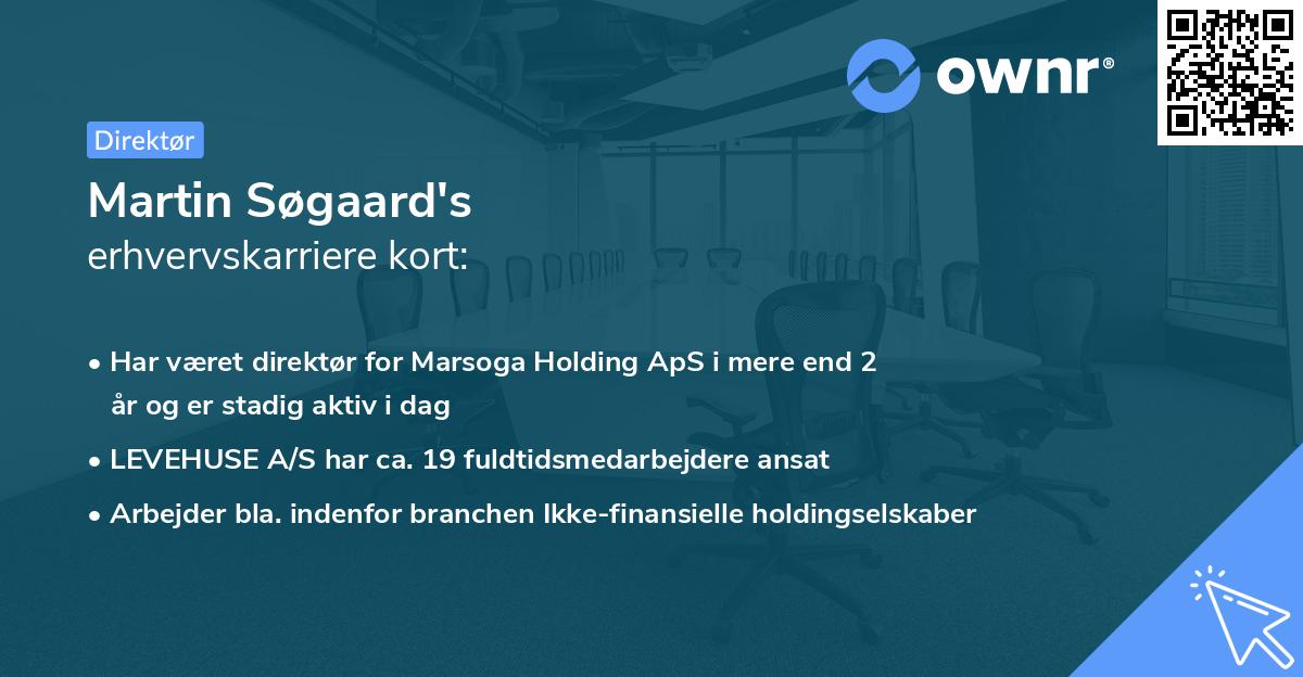 Martin Søgaard's erhvervskarriere kort