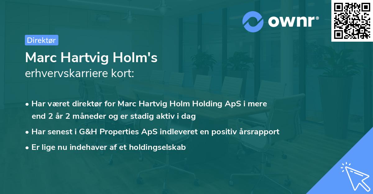 Marc Hartvig Holm's erhvervskarriere kort