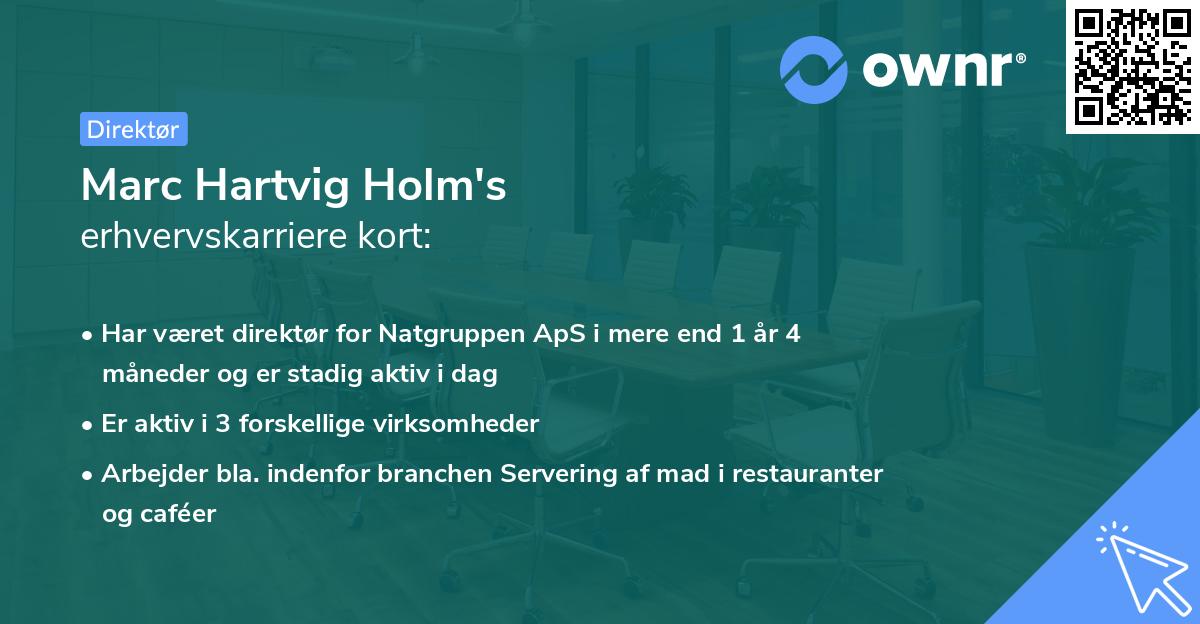 Marc Hartvig Holm's erhvervskarriere kort