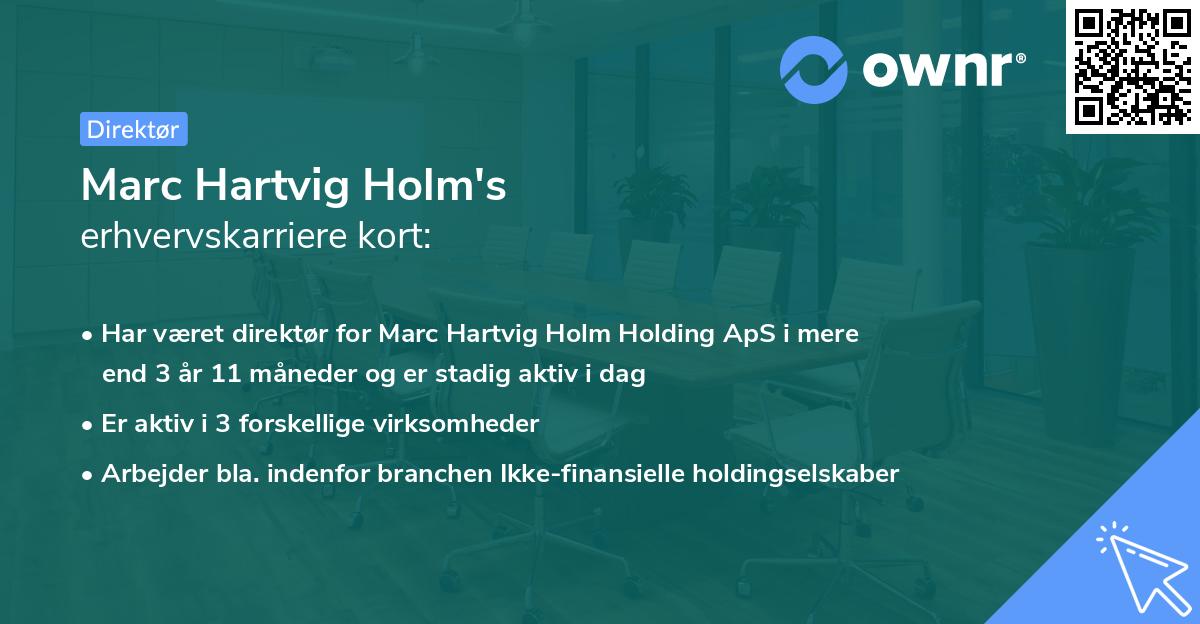 Marc Hartvig Holm's erhvervskarriere kort