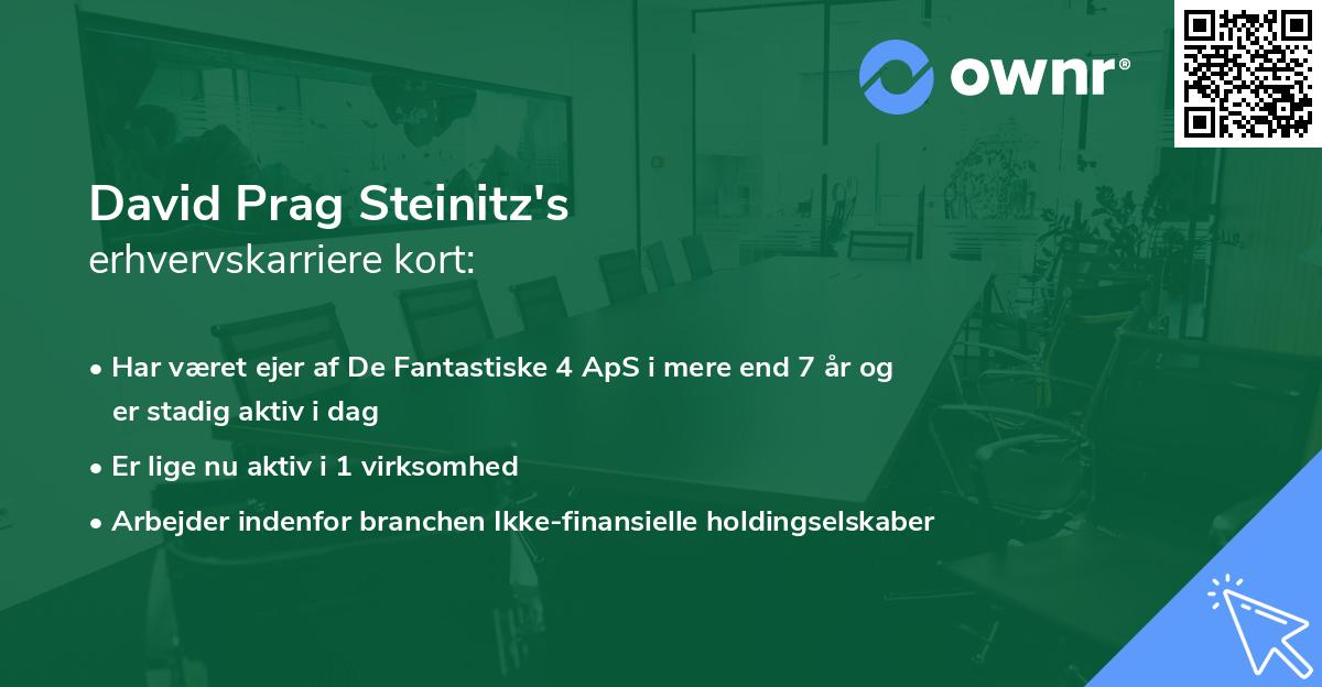 David Prag Steinitz's erhvervskarriere kort