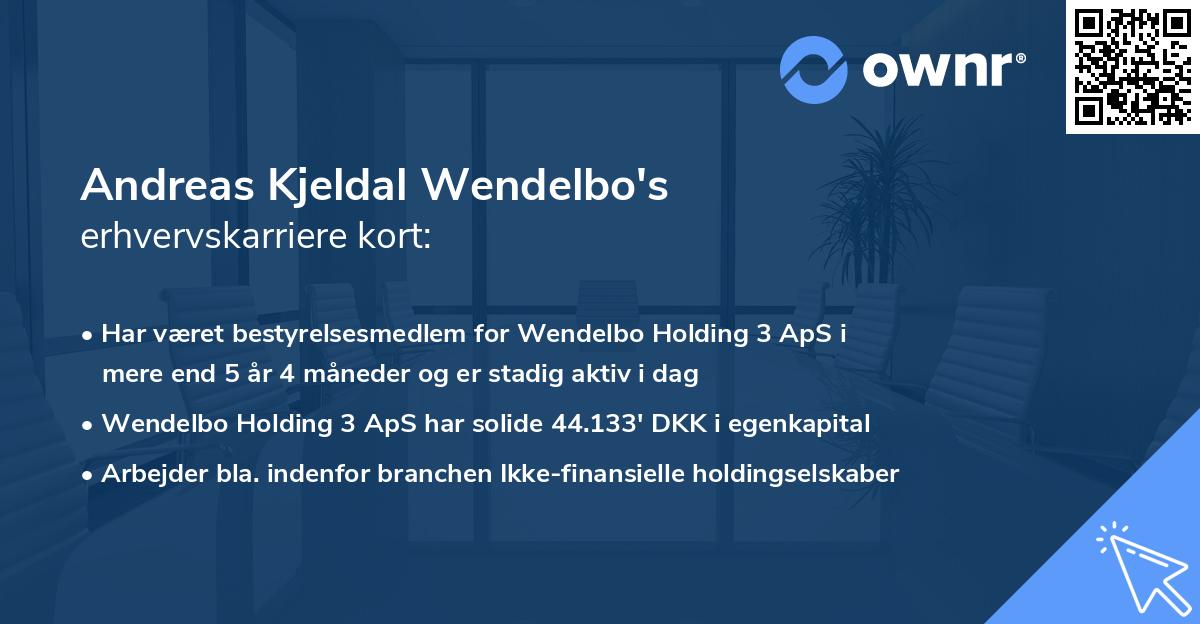 Andreas Kjeldal Wendelbo's erhvervskarriere kort
