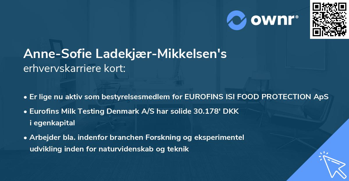 Anne-Sofie Ladekjær-Mikkelsen's erhvervskarriere kort