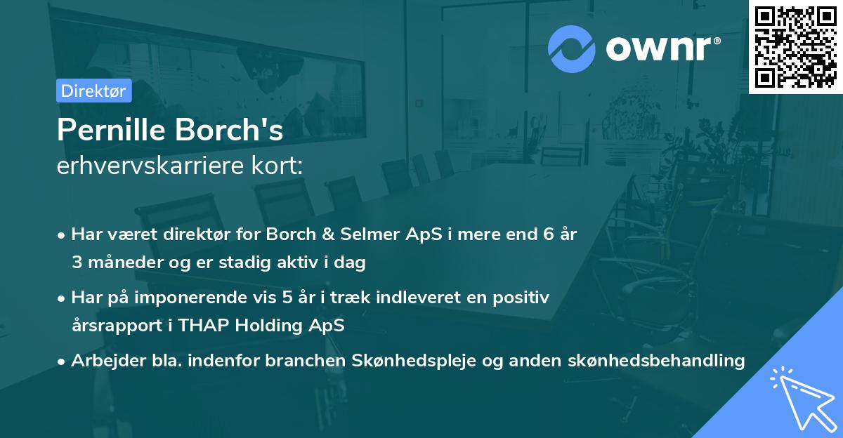 Pernille Borch's erhvervskarriere kort