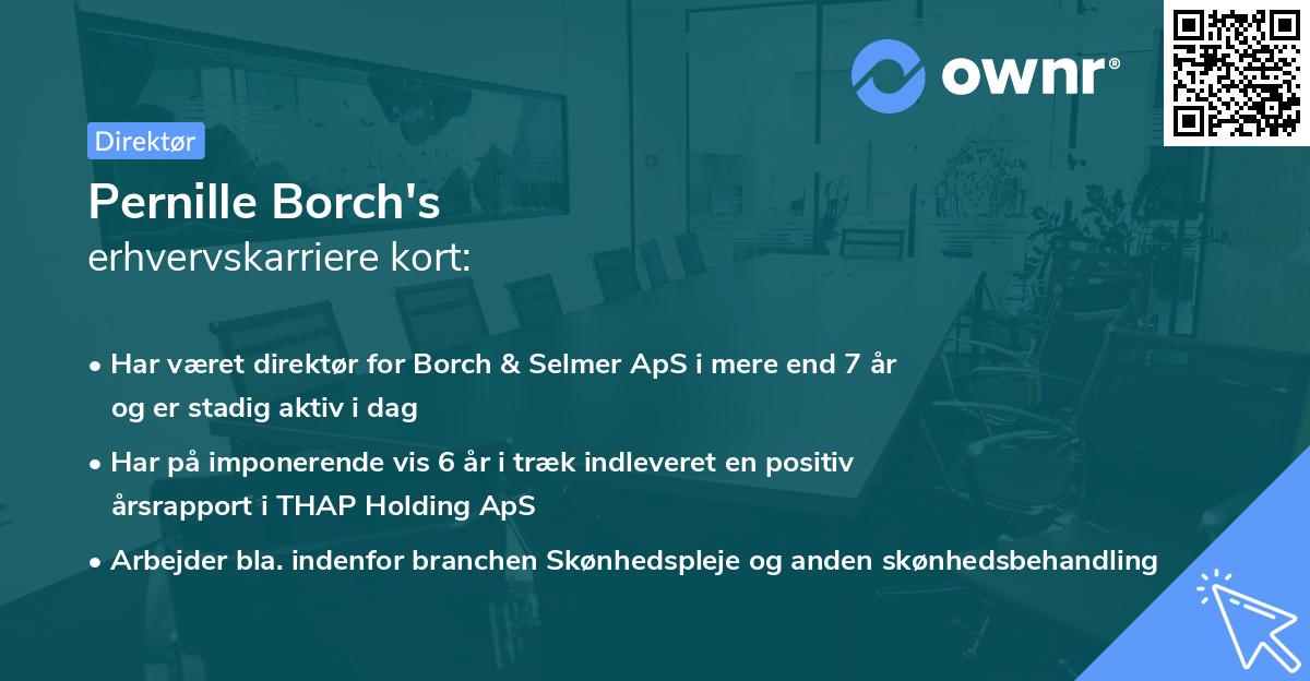 Pernille Borch's erhvervskarriere kort