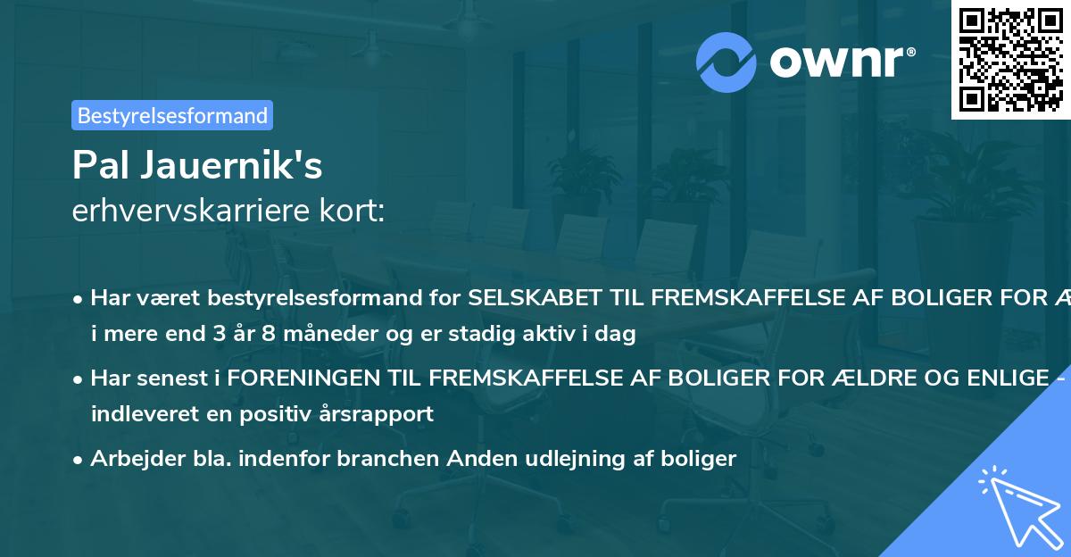 Pal Jauernik's erhvervskarriere kort