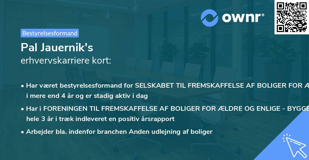 Pal Jauernik's erhvervskarriere kort