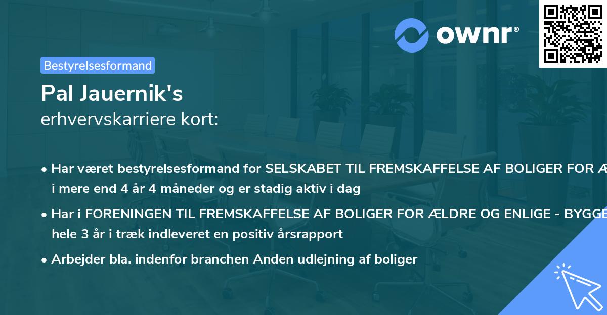 Pal Jauernik's erhvervskarriere kort