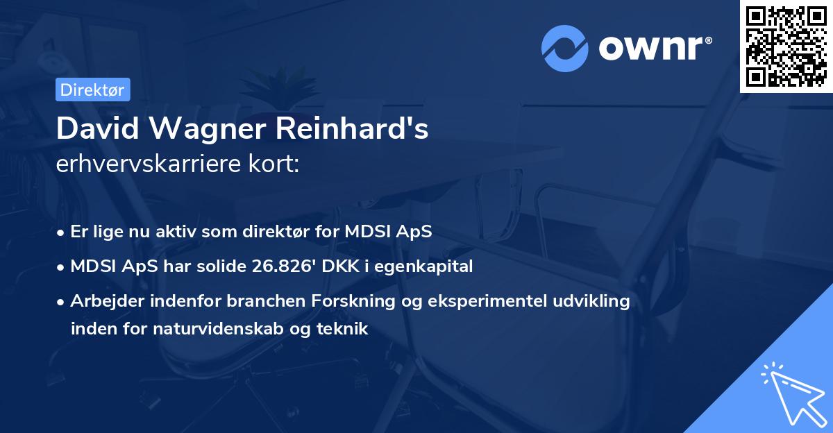 David Wagner Reinhard's erhvervskarriere kort