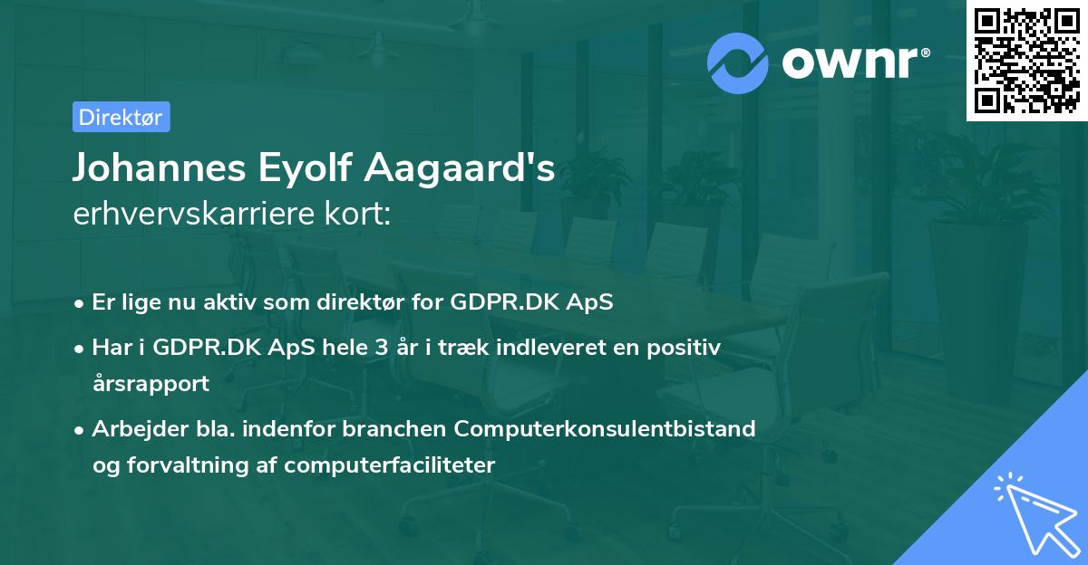 Johannes Eyolf Aagaard's erhvervskarriere kort