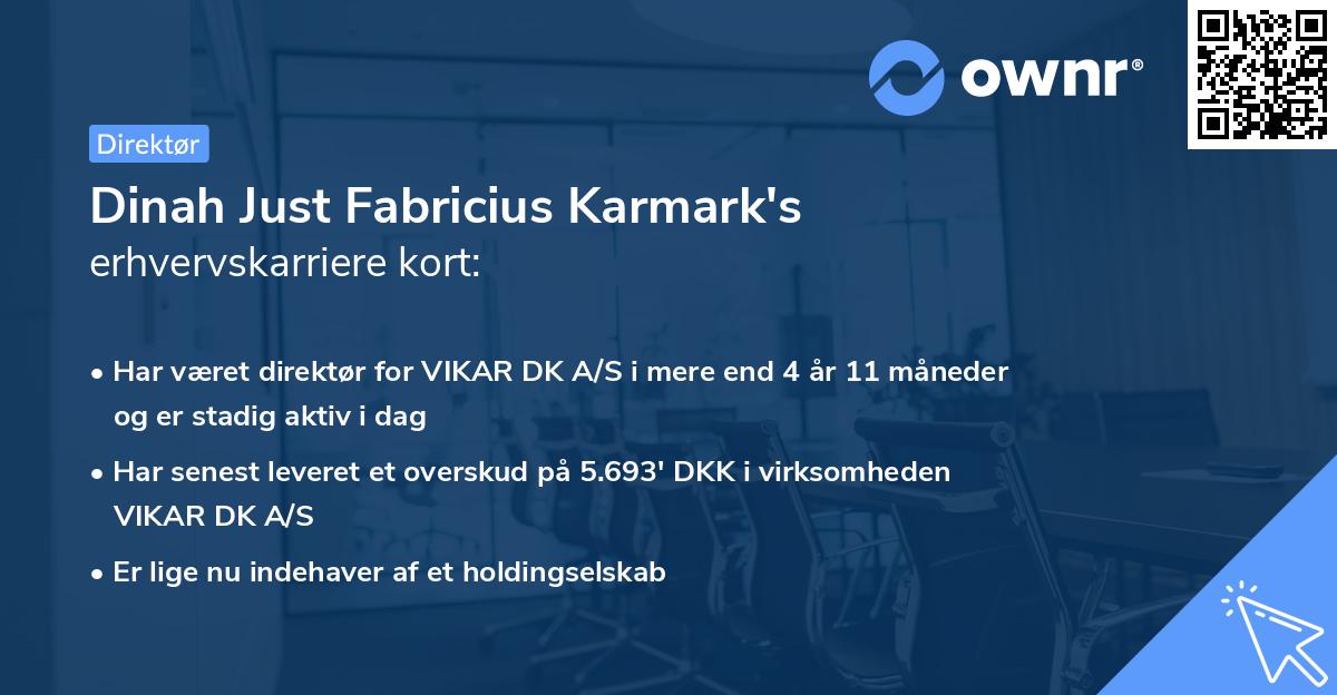 Dinah Just Fabricius Karmark's erhvervskarriere kort