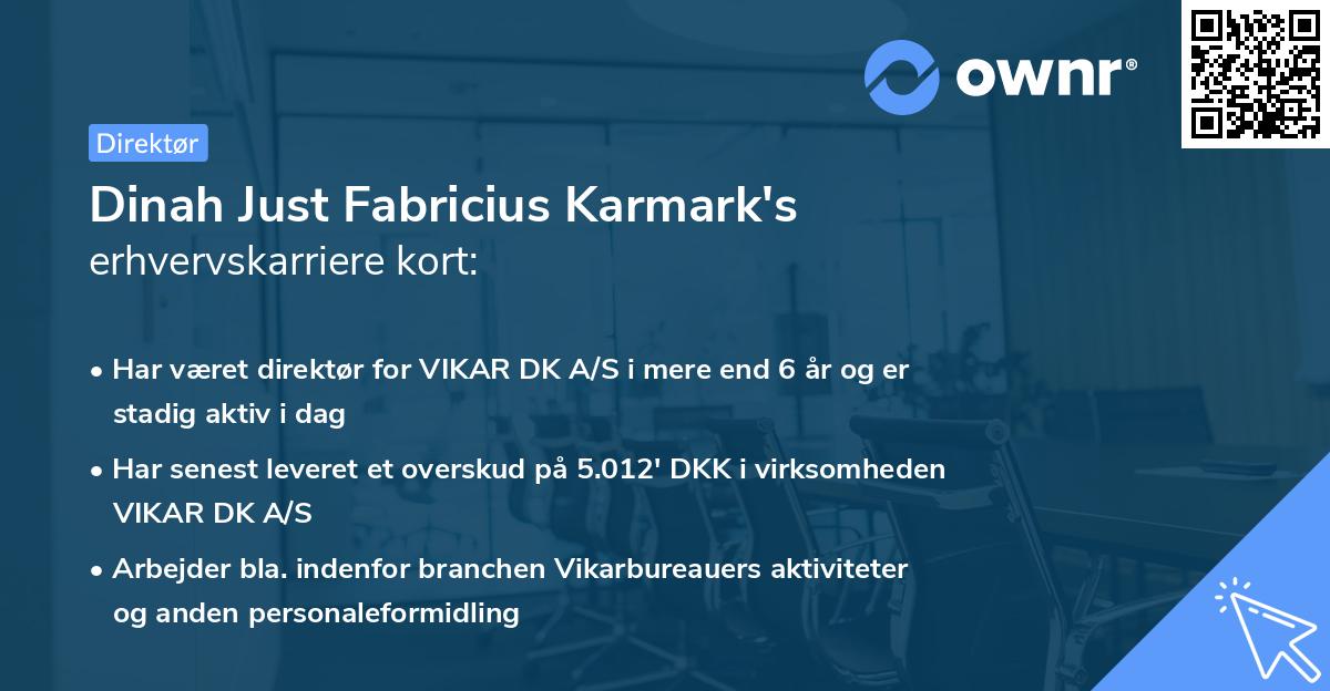 Dinah Just Fabricius Karmark's erhvervskarriere kort