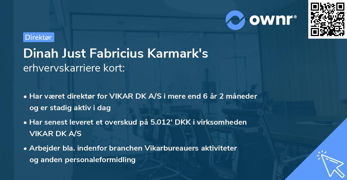 Dinah Just Fabricius Karmark's erhvervskarriere kort
