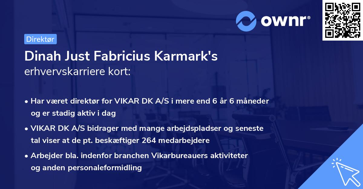 Dinah Just Fabricius Karmark's erhvervskarriere kort
