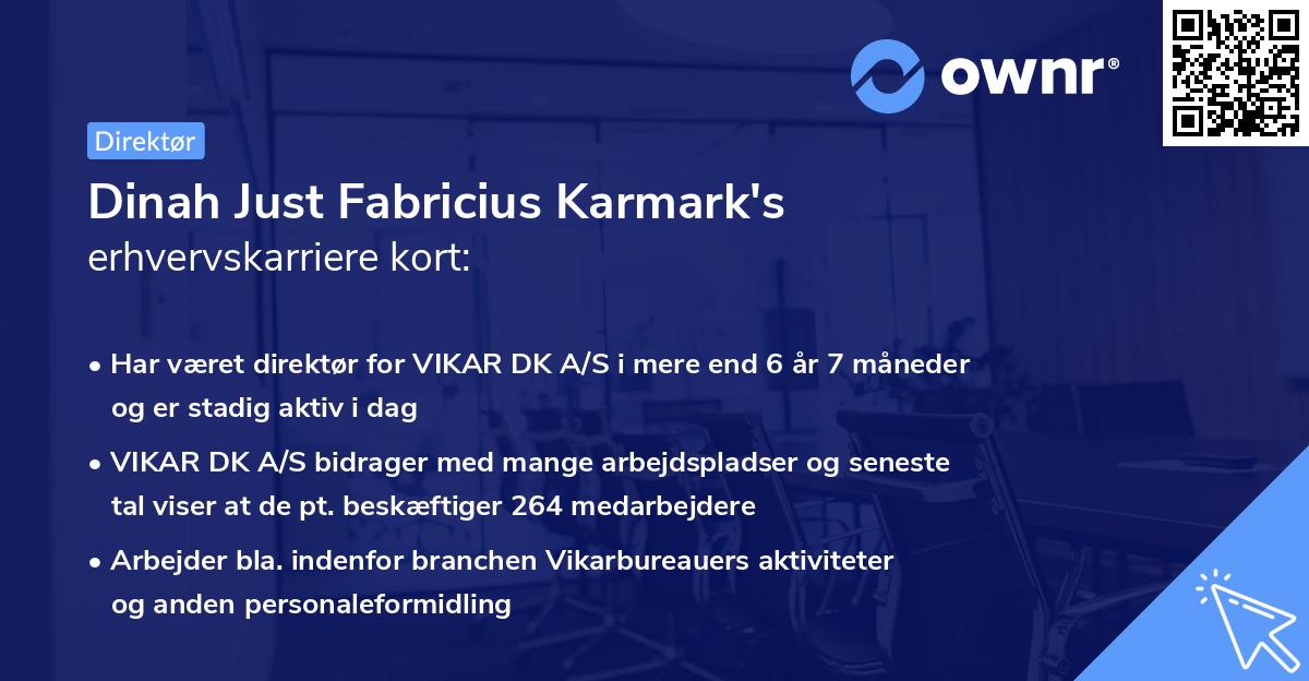 Dinah Just Fabricius Karmark's erhvervskarriere kort